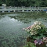 釣り人達