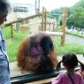 ねえ、遊ぼうよ！