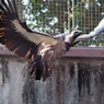 DSCF0039