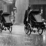 思い発散する雨