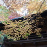 両足寺