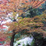 両足寺