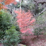 両足寺