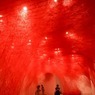 s-DSC_0062_5723