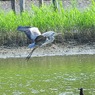 IMG_20190803_215704_017