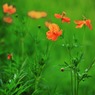 IMG_20190803_220343_397