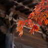 秋の東山寺