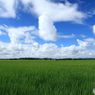 夏空