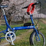 愛車と桜