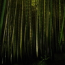 11/19高台寺　竹林