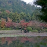 龍安寺　鏡容池