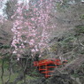 小石川後楽園