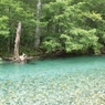 上高地の水