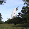横顔