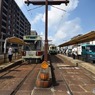 s-DSC_0183_6808