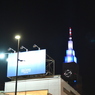 どんなにじょうずに隠れても･･･（笑）