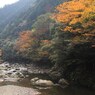 熊本県五木村
