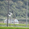 IMG_1916