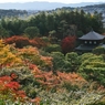 銀閣寺