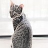 な～に？