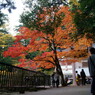 鞍馬寺の紅葉
