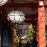 鞍馬寺の提灯