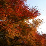 紅葉と山
