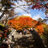 鞍馬寺の紅葉