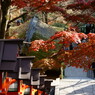 鞍馬寺の紅葉