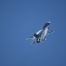 2019 松島基地航空祭 F-2B その1