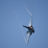 2019 松島基地航空祭 F-2B その2