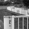 写真エッセイ：B&W1 散歩道１