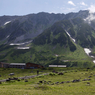立山室堂