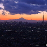 市川から見る東京