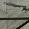 R0011401