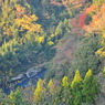 紅葉と川