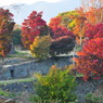 紅葉と石垣