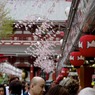 浅草11