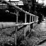 写真句：いつもの道：B＆W15