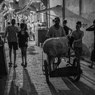 家路の影