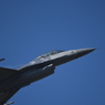 2019 三沢基地航空祭 F-16 プリモさん挨拶 その3
