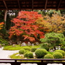 201011引き継がれし眺め曼珠院