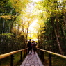 201011これがやっとの高桐院