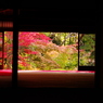 201011南禅寺天授庵