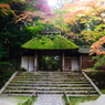 201011一瞬の間　法然院