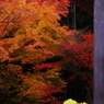 201011秋競演圓光寺