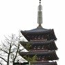 浅草20