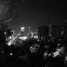 →　２８