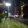 オルカが来てるはずなんだが