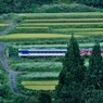 只見線　奥の田舎道